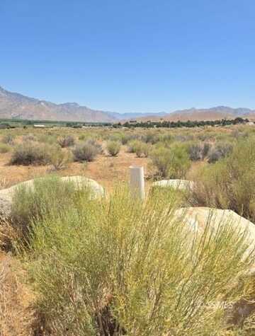 426-390-26 Flycatcher, Weldon, CA 93283
