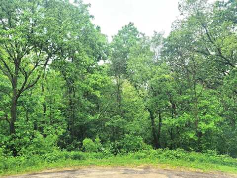 4 Hillside, GALENA, IL 61036