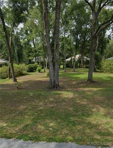Tbd SW 192nd Circle, Dunnellon, FL 34432