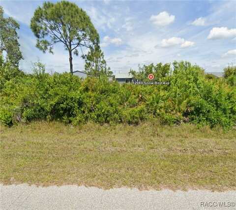 12080 Snow Bird Avenue, Port Charlotte, FL 33981