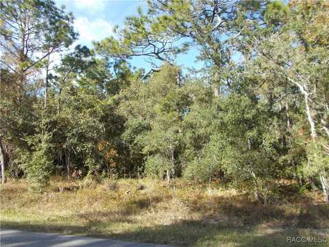 359 W LIBERTY Street, Hernando, FL 34442