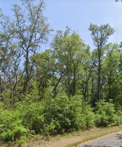 Tbd Locust Radial, Ocala, FL 34472
