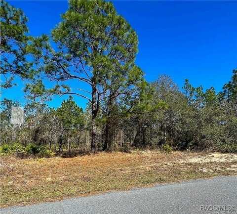 11 Paw Paw Court S, Homosassa, FL 34446