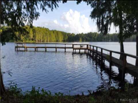 8744 E Moonrise Lane, Floral City, FL 34436