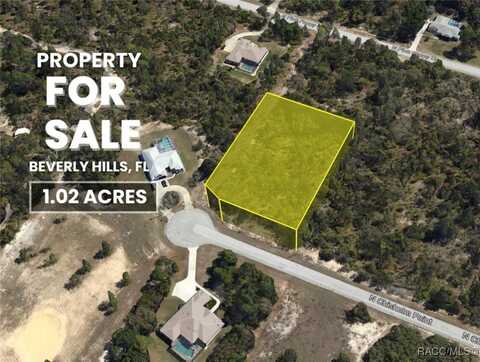 4189 N Chisholm Point, Beverly Hills, FL 34465