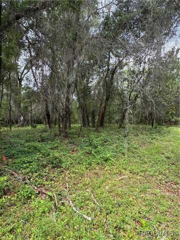 984 E Kingsdale Street, Dunnellon, FL 34434