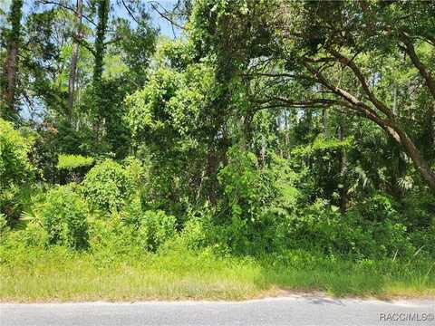 000 Olsen Road, Spring Hill, FL 34606