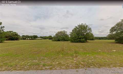 137 E Samuel Court, Hernando, FL 34442