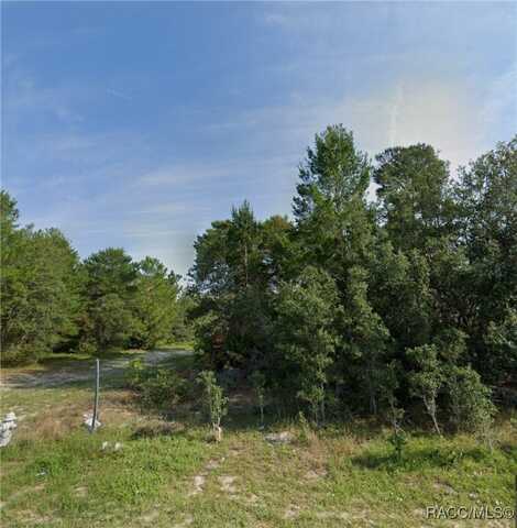 374 Hibiscus Drive, Kissimmee, FL 34759