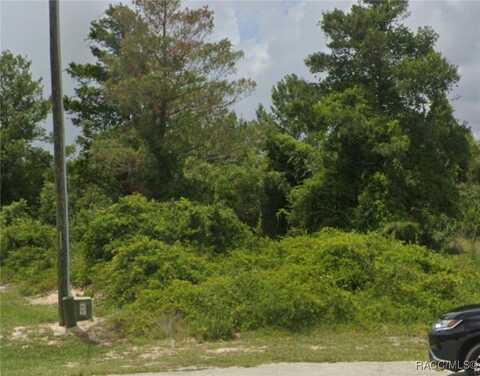 2121 ORCHID Way, Kissimmee, FL 34759