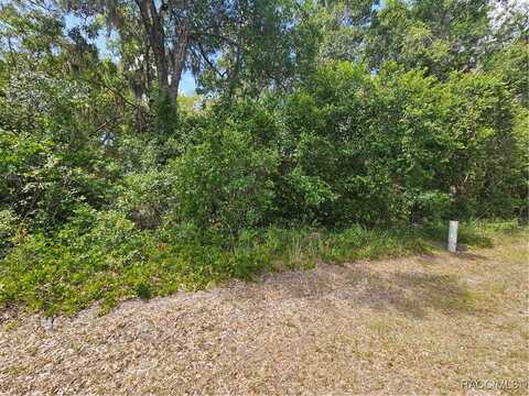 2828 E Chartwell Circle, Hernando, FL 34442