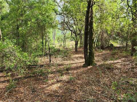 11107 N Mataro Avenue, Citrus Springs, FL 34434