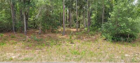 9169 N Saponaria Drive, Citrus Springs, FL 34433