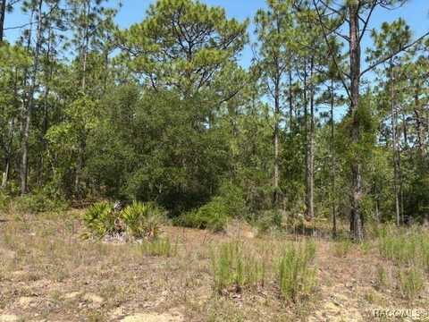 5724 N Durango Terrace, Beverly Hills, FL 34465