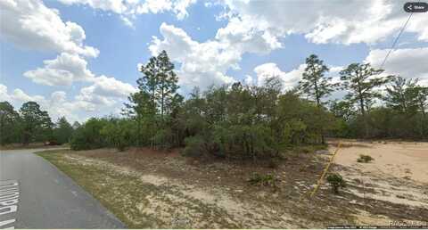 3816 W Baton Lane, Citrus Springs, FL 34433