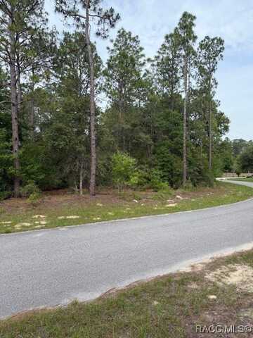 Blk 129 Lot 1 SW 66th Loop, Dunnellon, FL 34432