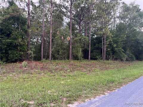 9553 N Travis Drive, Citrus Springs, FL 34434