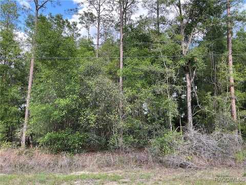 8479 N Wallingford Avenue, Citrus Springs, FL 34434