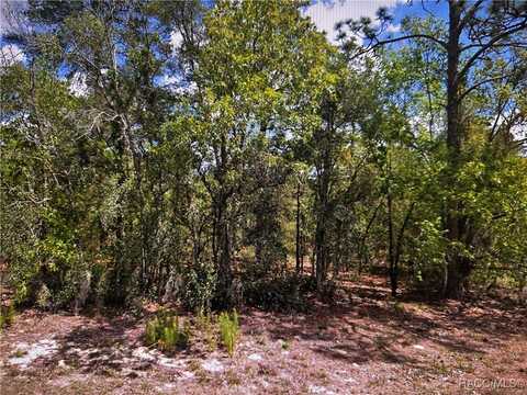 2363 E Cambridge Lane, Inverness, FL 34453