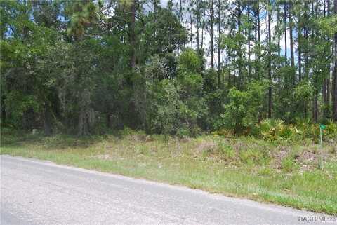 7 Sweetgum Court N, Homosassa, FL 34446