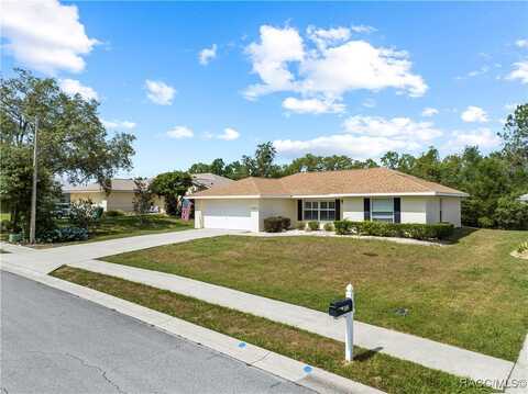 1322 S Brookfield Drive, Lecanto, FL 34461