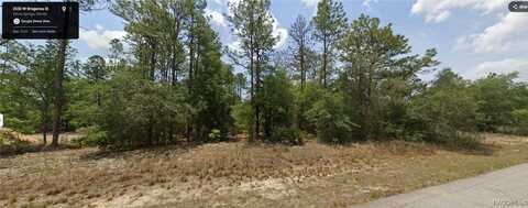 2530 W Braganza Street, Dunnellon, FL 34433