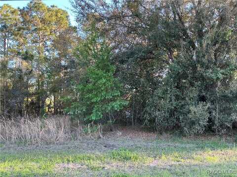 2892 W Eunice Drive, Citrus Springs, FL 34433