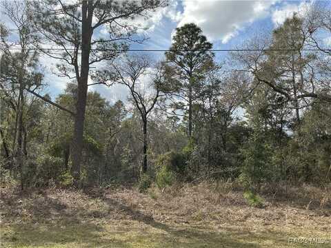 8824 N Trojan Drive, Citrus Springs, FL 34433