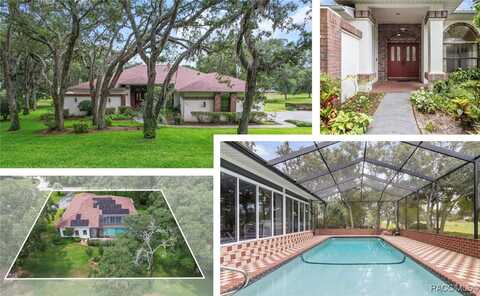 330 E Ireland Court, Hernando, FL 34442