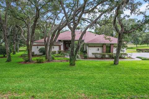 330 E Ireland Court, Hernando, FL 34442