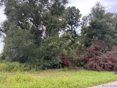 9299 N Sagamore Terrace, Citrus Springs, FL 34434