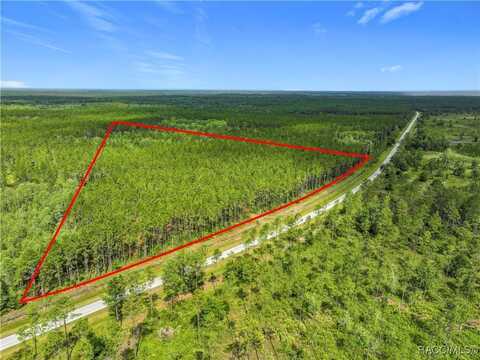Tbd CR 336, Chiefland, FL 32626