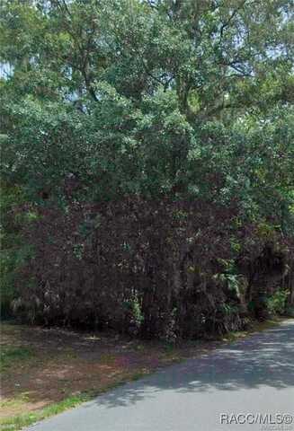 Lot 16 CR 426 Road, Lake Panasoffkee, FL 33538