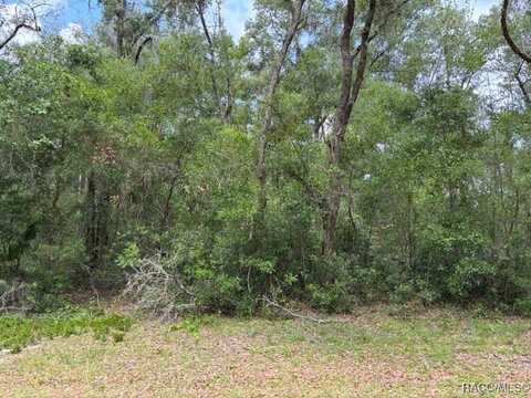 9704 N Feigel Terrace, Crystal River, FL 34428