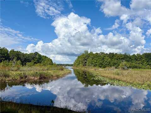 5822 N Tsala Apopka Drive, Hernando, FL 34442