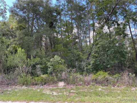 65 Bells Of Ireland Court, Homosassa, FL 34446