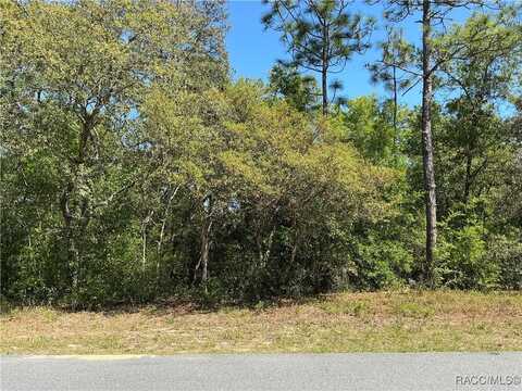 2918 W Camilo Drive, Citrus Springs, FL 34434