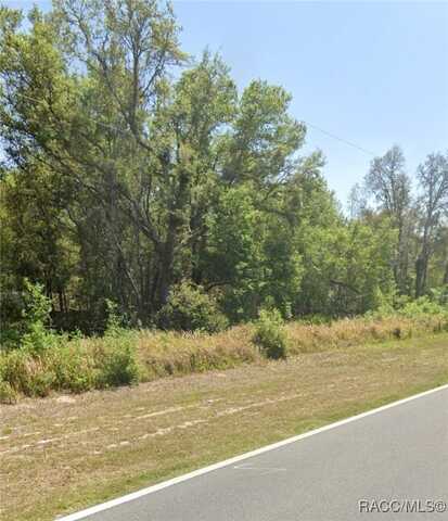 Tbd Bay Road, Ocklawaha, FL 32179
