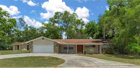 10535 E Gobbler Drive, Floral City, FL 34436
