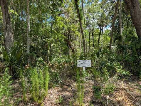 13159 W Gulf Shores Street, Inglis, FL 34449