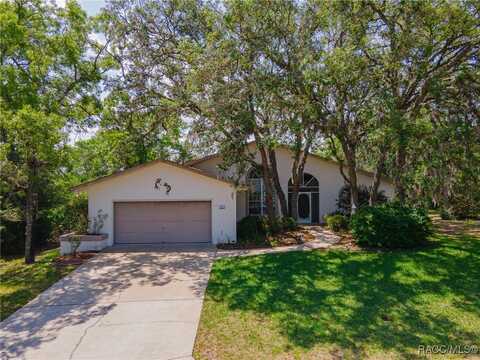 18 S Dahlia Court, Homosassa, FL 34446