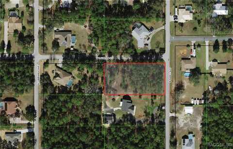 1420 N Rabeck Avenue, Lecanto, FL 34461