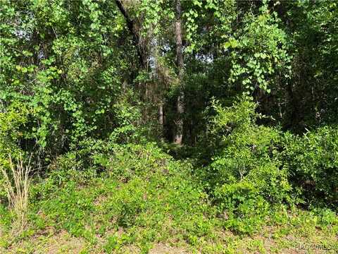 11312 N Fuego Drive, Citrus Springs, FL 34434