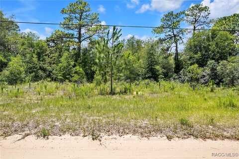 620 S Fairlane Terrace, Lecanto, FL 34461