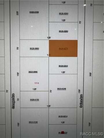 0 Selma Avenue, Interlachen, FL 32148