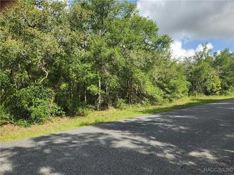 1031 E La Salle Street, Hernando, FL 34442