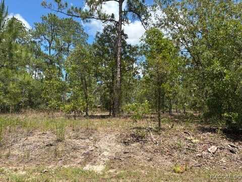 Tbd SW Southview Court, Dunnellon, FL 34431