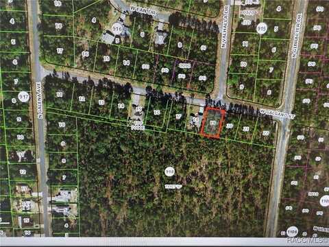 1174 W Galgano Street, Dunnellon, FL 34434
