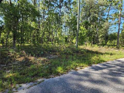 1476 W Diamond Drive, Citrus Springs, FL 34434