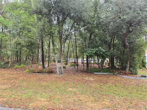 1415 W saint elizabeth Street, Citrus Springs, FL 34434